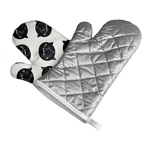 Hang in There Humor divertido Novedades Guitar Picks Medium Gauge - Set de 6