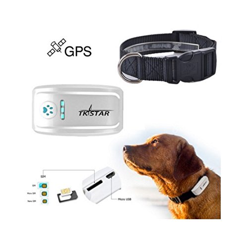 Hangang Pet GPS Tracker Collar, Localizador de Localización GPS en Tiempo Real, Collar para Perros Training GPS en Tiempo Real con La Aplicación Gratuita & Web Platform Rastreador de GPS