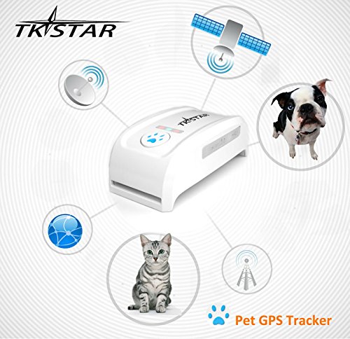 Hangang Pet GPS Tracker Collar, Localizador de Localización GPS en Tiempo Real, Collar para Perros Training GPS en Tiempo Real con La Aplicación Gratuita & Web Platform Rastreador de GPS