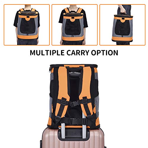 HAPPY HACHI Mochila Plegable para Perros Gatos Transporte para Perro Bolso Transportín Viaje con Correa Relleno Ajustable Camiseta Transpirable Naranja