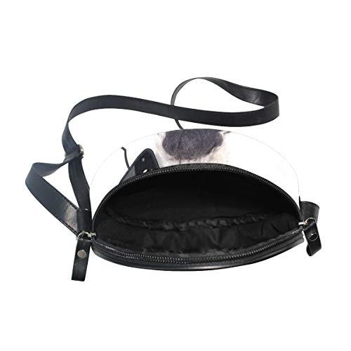 HATESAH Perro escuchando música en el teléfono inteligente Groovy Cool Headphones Animal Funny，Bolso de lona hombro para mujer Bolso de mensajero de lona casual anillo de hombro único