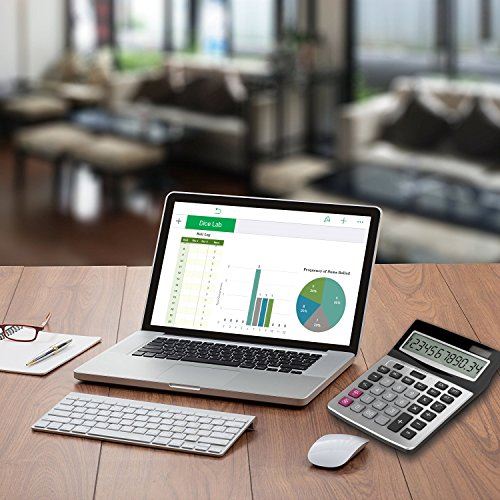 Helect H-1006- Calculadora Sobremesa de Oficina, Plata