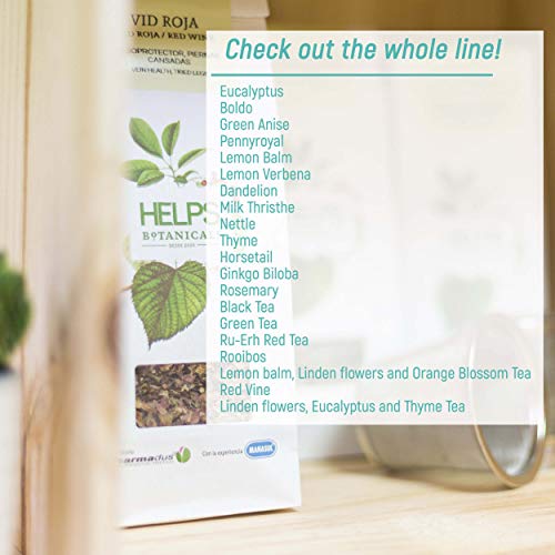 HELPS INFUSIONES - Infusión De Eucalipto En Hojas. Balsámica, Expectorante Y Antiseptica. Bolsa A De Granel 100 Gramos.