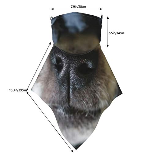 hfdff La nariz del perro sobresale Uvas negras Mascarilla facial Unisex Orejeras ajustables Bandana Pasamontañas de motocicleta Paño reutilizable para el polvo, lavable