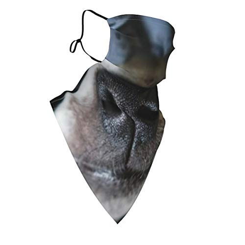 hfdff La nariz del perro sobresale Uvas negras Mascarilla facial Unisex Orejeras ajustables Bandana Pasamontañas de motocicleta Paño reutilizable para el polvo, lavable