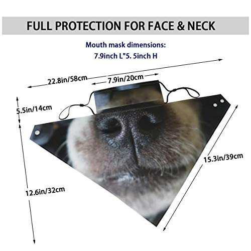 hfdff La nariz del perro sobresale Uvas negras Mascarilla facial Unisex Orejeras ajustables Bandana Pasamontañas de motocicleta Paño reutilizable para el polvo, lavable