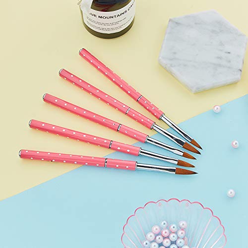 Hicarer Kolinsky - Juego de 5 Pinceles de uñas acrílicos con Mango Rosa, Herramienta de Bricolaje para salón de Belleza, Uso doméstico, tamaño 4, 6, 8, 10 y 12