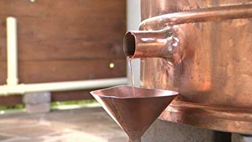 Hidrolato Agua Floral Puro de Hamamelis Olmo Escocés Ecológico Hidrosol ORGÁNICO Hidratante (100 ml) agua micelar, limpiador facial, piel grasa Witch hazel, rostro , spray corporal, cabello, ambiente