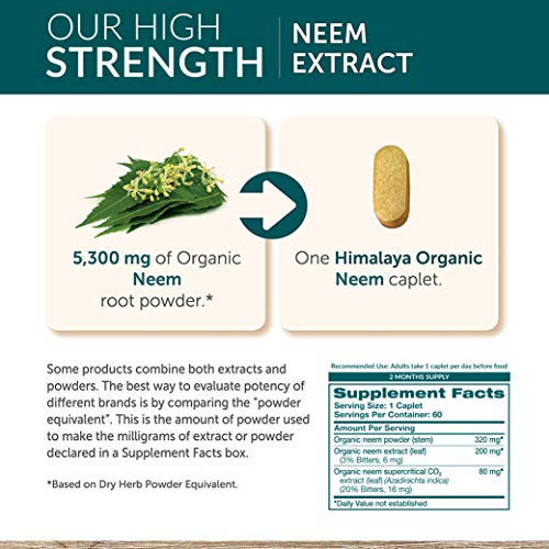 Himalaya USDA Comprimidos de Neem | Remedio para el acné y las espinillas | Promueve la desintoxicación e inmunidad| Equivalentes a 5300mg de polvo | 60 cápsulas veganas | Suministro para 2 meses