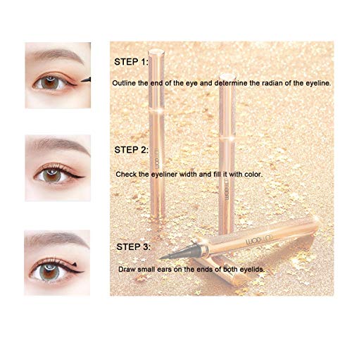 HIROCK Waterproof Delineador de ojos negro de larga duración Delineador de ojos líquido Lápiz Maquillaje Precisión Micro Secado rápido Cosmético de larga duración