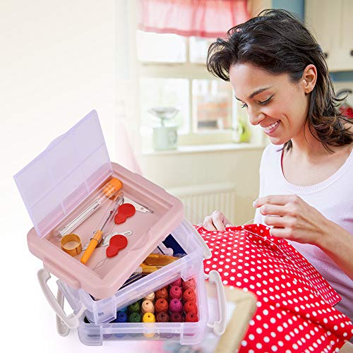 Hisome - Kit de bordado de punto de cruz para punto de cruz con números DMC, juego de punto de cruz, juego de herramientas de punto de cruz con organizador y caja de almacenamiento, multicolor