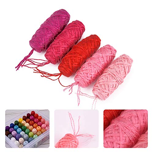 Hisome - Kit de bordado de punto de cruz para punto de cruz con números DMC, juego de punto de cruz, juego de herramientas de punto de cruz con organizador y caja de almacenamiento, multicolor