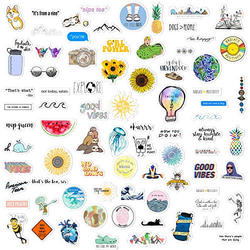 Hizoop Paquete de Pegatinas Lindo de 100 Piezas, calcomanías de calcomanías de Graffiti vinilos para computadora portátil, Botella de Agua, calcomanías de calcomanías para Equipaje en monopatín