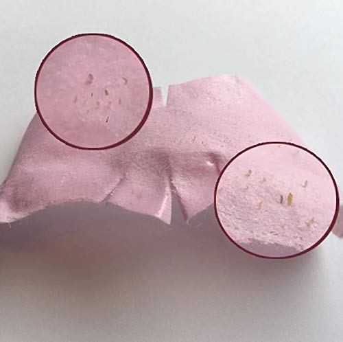 Holika Holika - Kit de 3 pasos para nariz de cerdo (5 piezas) (original coreano)