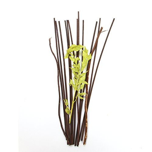 Hosley - Varillas para difusores botánicos de 1", color verde y marrón Ideal para bodas, inauguración de la casa, oficina en casa, meditación, ajustes Reiki O7.