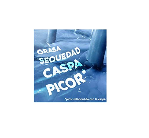 HS champú anticaspa citrus fresh cabello graso formato viaje bote 90 ml