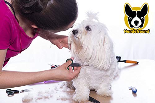 Hundefreund Set de Tijeras para Perros con Tijera de Entresacar, para el Cuidado del Pelaje de Cualquier Raza | Las Tijeras están Hechas de Acero Inoxidable con Punta Redondeada