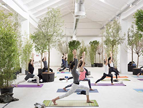 ikehiko antideslizante 1/4-inch Tatami Yoga Mat, Tatami japonés, aroma relajante Natural, perfecta para pilates, Meditación, fabricado en Japón, Sakura-Fuji