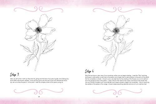 Illustration Studio: Inking Florals: A Step-By-Step Guide to Creating Dynamic Modern Florals in Ink and Watercolor