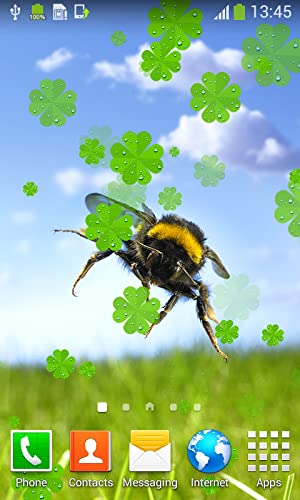 Imágenes de Bee Live