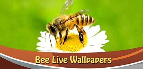 Imágenes de Bee Live