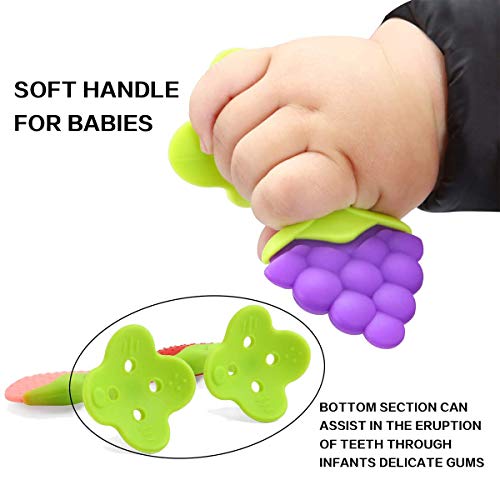 iNeego Mordedor Bebé Refrigerante 7 Piezas - Mordedor Fruta Bebé Juguetes para la Dentición para Bebés 3 Meses BPA Gratis Mordedores Bebé Congelador Mordedor Fruta Bebé Apto para Congelador