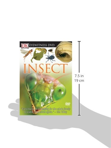 Insect [Reino Unido] [DVD]