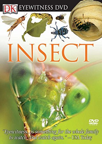 Insect [Reino Unido] [DVD]