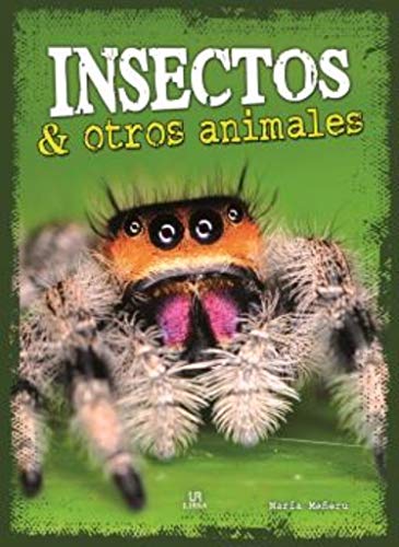 Insectos y Otros Animales (Reino Animal)