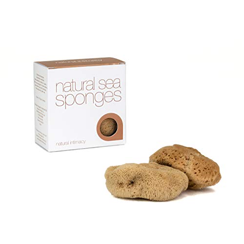 IntimateCare 2x Esponjas Marinas Mediterráneas de 6,5 a 8 cm.  Calidad Absoluta. Embalaje Libre de Plástico.