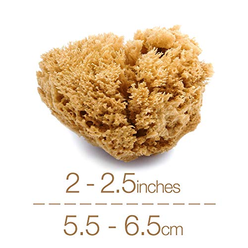 IntimateCare Esponjas Marinas - 3 esponjas de mar, sedosas, sin blanquear (marrón natural, 5,5-6,5 cm)