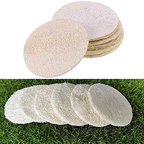 INTVN 20 Piezas de Esponja de Luffa Natural Exponja Exfoliante de Baño de Cuerpo Estropajo Natural para Cuerpo Cocina de Esponja Vegetal Natural Estropajo de Esponja Vegetal Esponja Accesorios