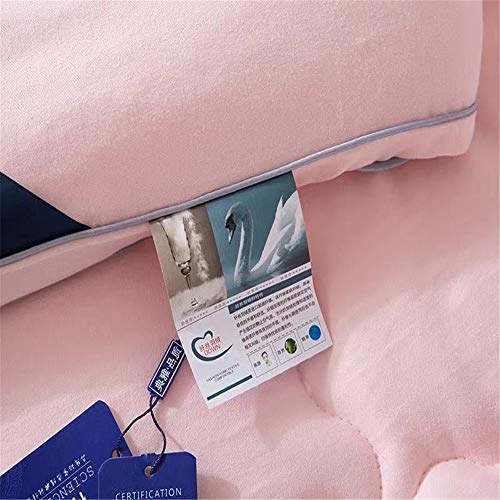 Invierno caliente grueso edredón de ganso edredón edredón de doble tamaño de inserción con el cantón más aquí ecológica algodón acolchado,Rosado