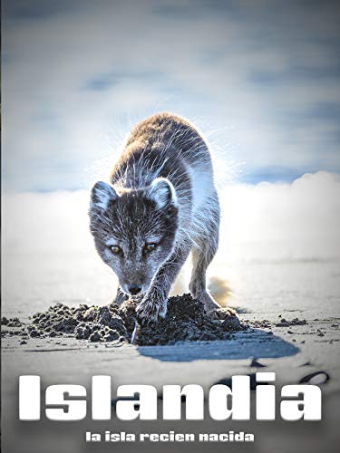 Islandia, La Isla Recién Nacida