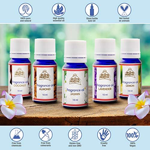 Jazmín Fragancia Aceite 10ml - para Aroma Lámpara & Difusor - Adecuado Para Hacer Velas & Jabones - Para Ramos Secos & Bolsitas Perfumadas - Productos Para Cuidado Cuerpo & Piel