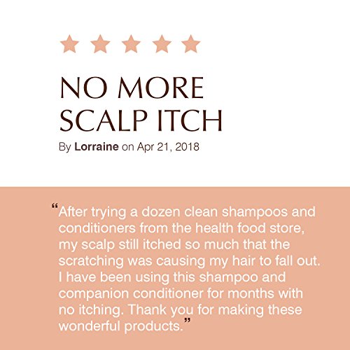 John Masters Organics - Champú Cuidado del Cabello Miel y Hibiscus - Recuperación - Hair Care Line 177 ml