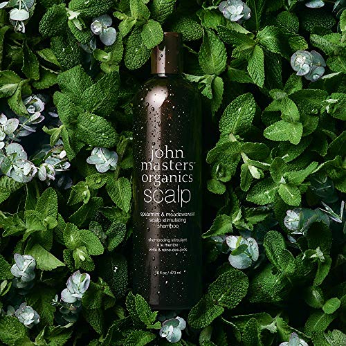 John Masters Organics menta verde y el cuero cabelludo de los prados Estimular Champú, 473ml