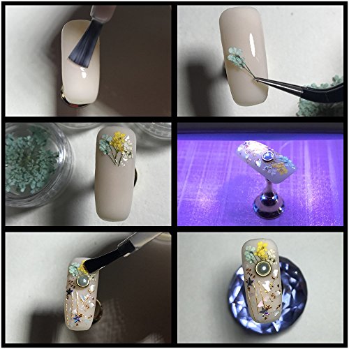 Joligel Flores Reales Secadas en Relieve para Decoración de Uñas 3D Set 12 Cajas, Nail Art Kit para Diseño de Uñas Manicura Japonesa, Flores Secas para Artesanía Epoxi DIY