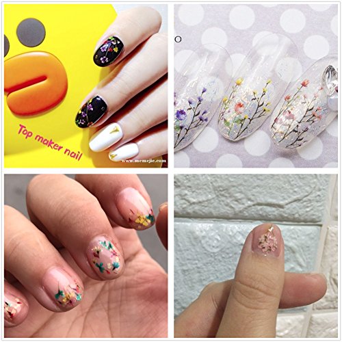 Joligel Flores Reales Secadas en Relieve para Decoración de Uñas 3D Set 12 Cajas, Nail Art Kit para Diseño de Uñas Manicura Japonesa, Flores Secas para Artesanía Epoxi DIY