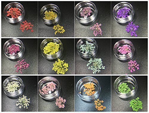 Joligel Flores Reales Secadas en Relieve para Decoración de Uñas 3D Set 12 Cajas, Nail Art Kit para Diseño de Uñas Manicura Japonesa, Flores Secas para Artesanía Epoxi DIY