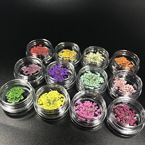 Joligel Flores Reales Secadas en Relieve para Decoración de Uñas 3D Set 12 Cajas, Nail Art Kit para Diseño de Uñas Manicura Japonesa, Flores Secas para Artesanía Epoxi DIY