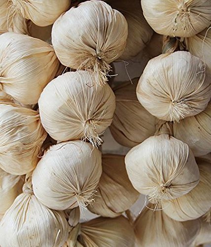 Juego de ajos artificiales colgantes de Welim. 2 colores, 4 piezas