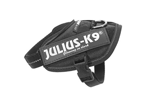 Julius-K9 16IDC - Power Harness