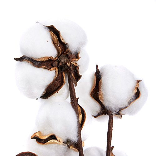 Juvale flores de algodón, decoración de granja (16 pulgadas, 4 unidades)