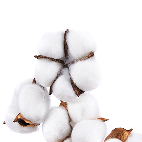 Juvale flores de algodón, decoración de granja (16 pulgadas, 4 unidades)