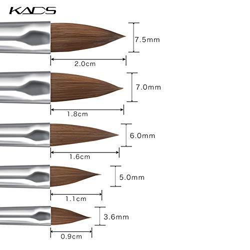 Kads - Juego de 5 pinceles para uñas, juego de pinceles para decoración de uñas, para diseño profesional, pinceles para pintar en detalle, con lápiz corrector