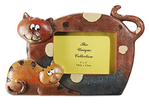 Katerina Prestige – Marco de Fotos Gato + Gatito (par 2 Unites), na0526