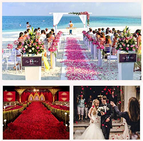 Killow Pétalos de Rosa 3000 Pcs Petalos Artificiales Confeti de Rosas Artificiales de Seda Roja para Bodas,día de San Valentín