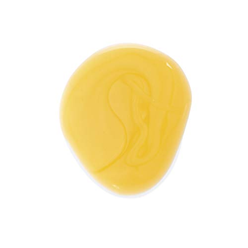 Klorane Champú Mango Tratante Nutritivo 100ml