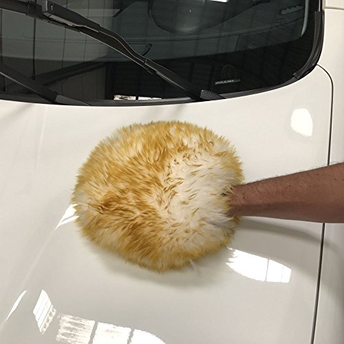 Koala Car Care 851802 Guante de Lavado de Coche